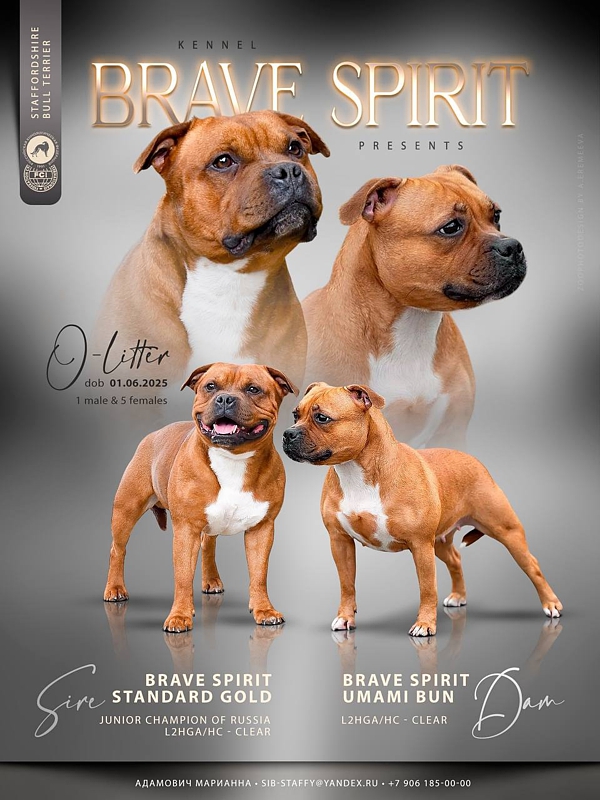 ����� ���������������� �����������